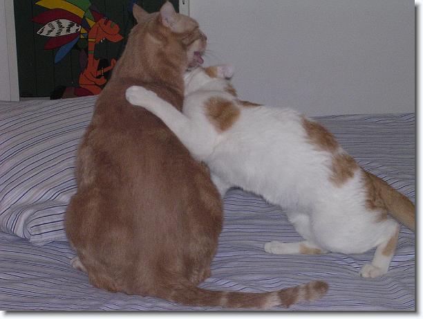 Clicca per scorrere le foto originali ingrandite
