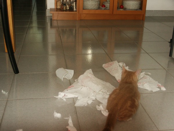 Clicca per vedere l\'immagine originale