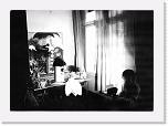 foto7 * 2092 x 1497 * (324KB)