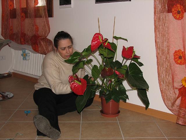 mici-09.jpg