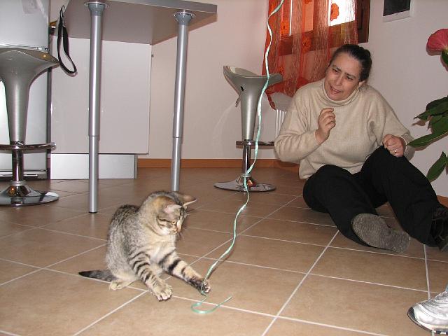 mici-14.jpg