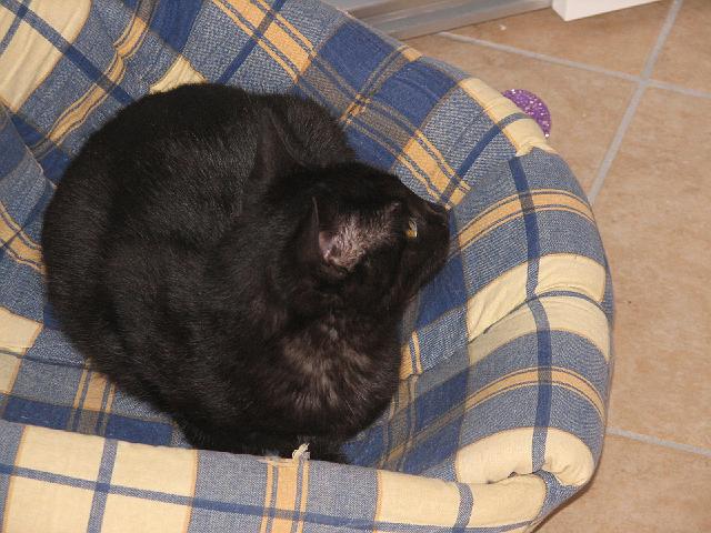 mici-18.jpg